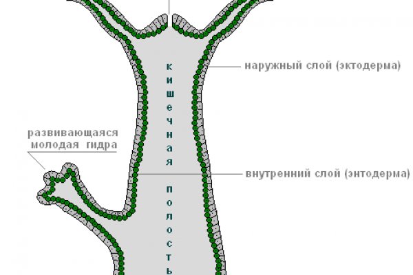 Кракен нарк