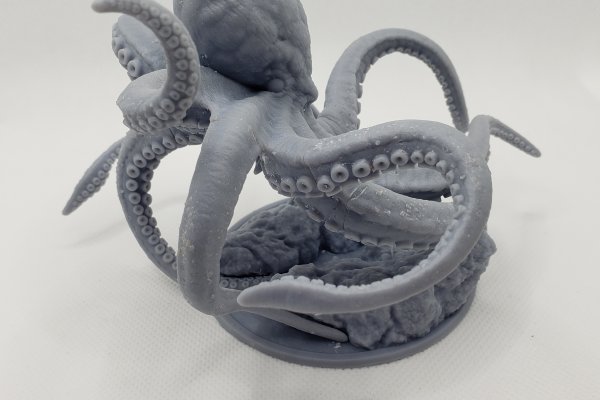 Kraken25at