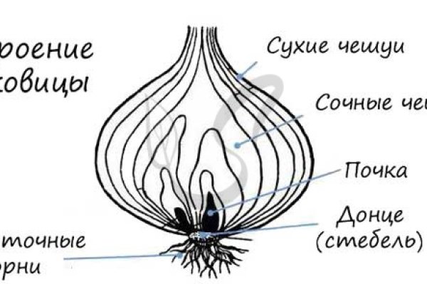 Магазин kraken даркнет