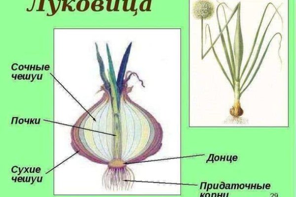 Кракен ссылка тор
