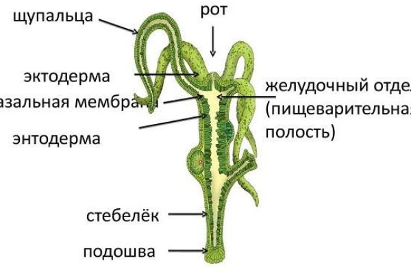 Кракен с айфона